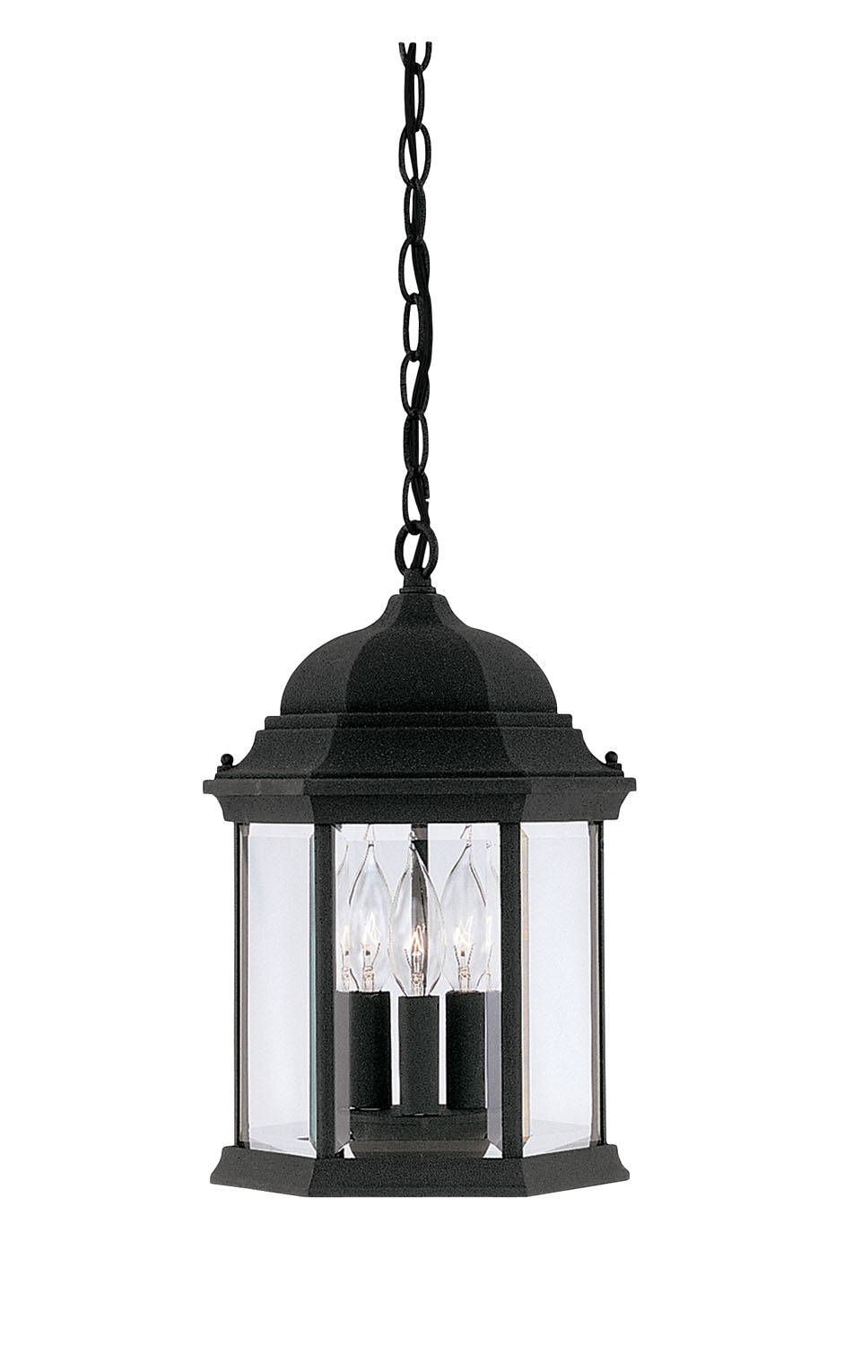 Designers Fountain - 2984-BK - Three Light Hanging Lantern - Devonshire