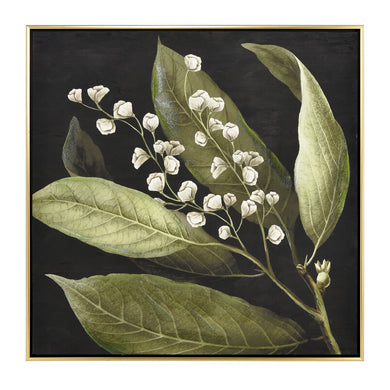 ELK Home - S0016-10168 - Framed Wall Art - Botanical Study