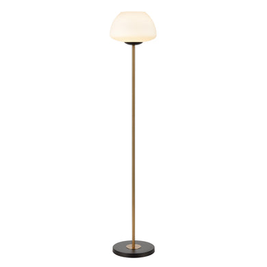 ELK Home - H0019-9585 - One Light Floor Lamp - AliGrove