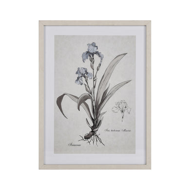 ELK Home - S0056-10633 - Framed Wall Art - Iris Botanic