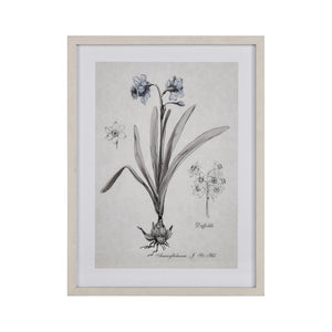 ELK Home - S0056-10634 - Framed Wall Art - Daffodil Botanic