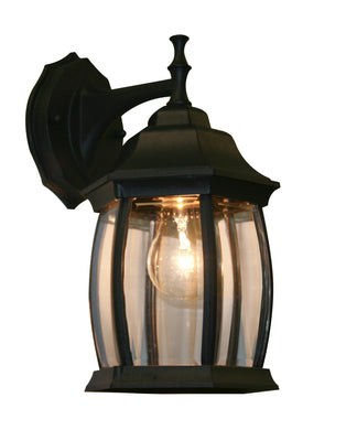 Z-Lite - T20-BK - One Light Outdoor Wall Sconce - Waterdown