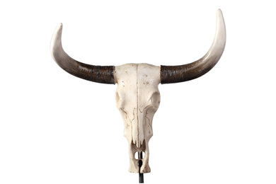 Bethel International - IL13 - Bull Head - Bull Head