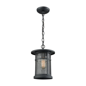 ELK Home - 45017/1 - One Light Hanging Lantern - Aspen Lodge