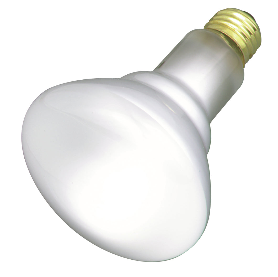Satco - S2808 - Light Bulb