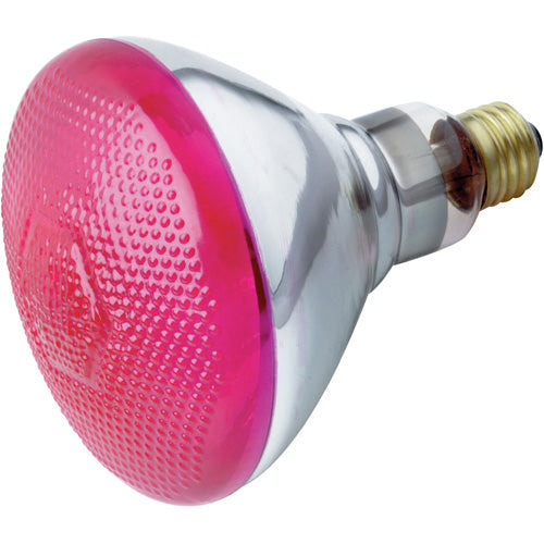 Satco - S4429 - Light Bulb
