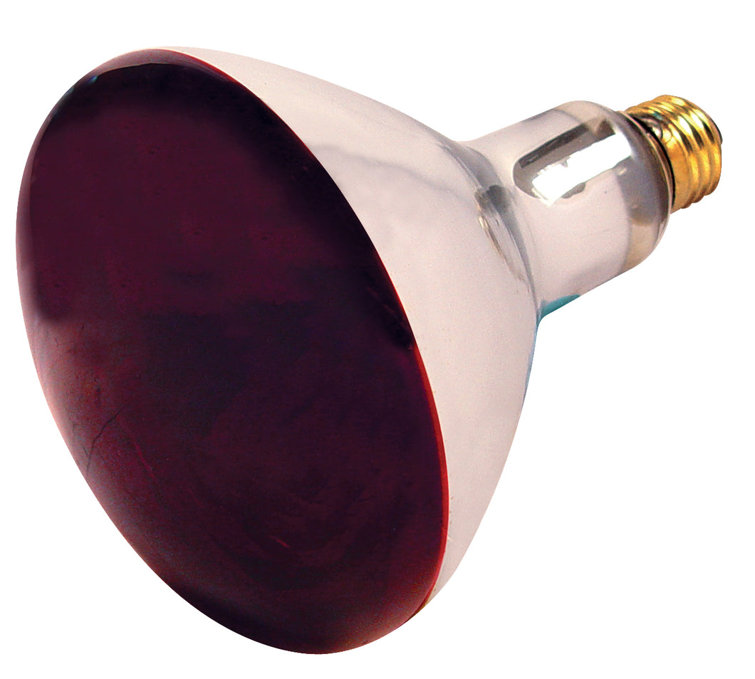 Satco - S4998 - Light Bulb