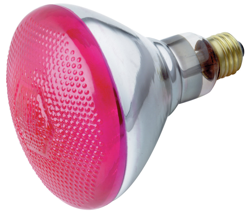 Satco - S5007 - Light Bulb